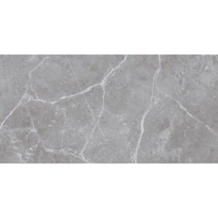 NARMADA - High Gloss - Placenta Grey - 600 x 1200 mm