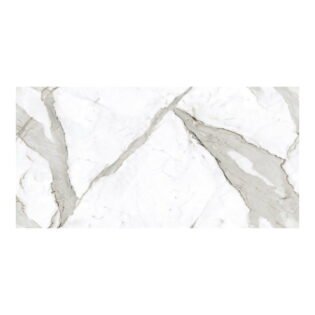 MEGA - Endless - Real Satvario - 600 x 1200 mm