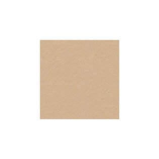 NARMADA - Full Body - Rock Mink - 600 x 600 mm