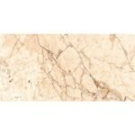 NARMADA - High Gloss - Rossaliya Brown - 600 x 1200 mm