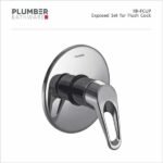 Plumber - Rover Series - Exposed set Flush Cock - RR-FCUP