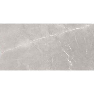 NARMADA - High Gloss - Ruse Grey - 600 x 1200 mm
