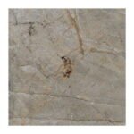 NARMADA - Glossy - Saran Collins Grey - 600 x 600 mm