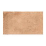 NARMADA - Rustic - Slid Brown - 600 x 1200 mm