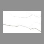 NARMADA - Satin Rocker - SR 2211 - 600 x 1200 mm