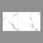 NARMADA - High Gloss - Statuario Fantastica - 600 x 1200 mm