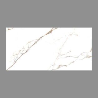 NARMADA - High Gloss - Statuario Tawny - 600 x 1200 mm