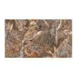 NARMADA - High Gloss - Stonela - 600 x 1200 mm