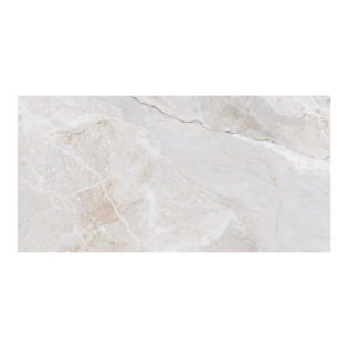 MEGA - Glossy - Trophical Grey LT - 600 x 1200 mm