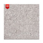 Double Charge - Light Series - Tropicana Cookie - 600 x 600 mm