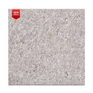 Double Charge - Light Series - Tropicana Cookie - 600 x 600 mm