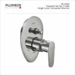 Plumber - Vine Series - Exposed Set for 3-INLET Single Lever Divertor - VE-UP43