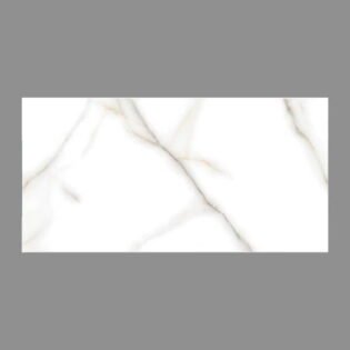 NARMADA - High Gloss - Venato Bianco - 600 x 1200 mm