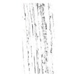 NARMADA - Elite Collection - White Portoro - 600 x 1200 mm