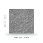 Taurus Tiles - Tropicana Slate