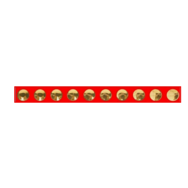 Drashti Ceramic - Punch Series - G212 - 2.67 feet coverage