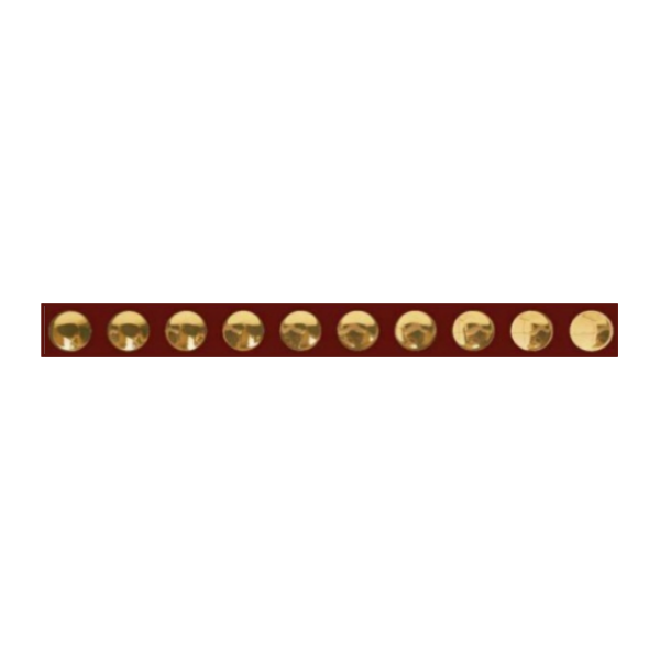 Drashti Ceramic - Punch Series - G217 - 2.67 feet coverage