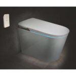 Plumber - Water Closet - Intelligent - IWC1611