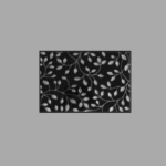 Drashti Ceramic - Wall Tiles - Golden/Silver Series - P-10032