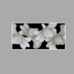 Drashti Ceramic - Wall Tiles - Polishing Series - P-80004