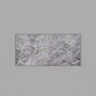 Drashti Ceramic - Wall Tiles - Polishing Series - P-80036