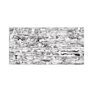 Porcelain Tiles - High Glossy Finish - White Rivera