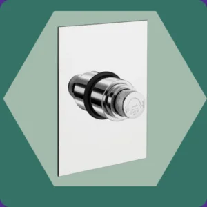 Concealed Flush Valve