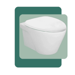 Wall Hung Toilet