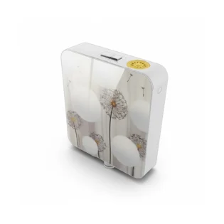 BELL - Flush Cistern - B - FLUSHING 7or3 LITRES