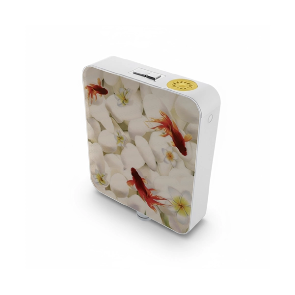 BELL - Flush Cistern - C - FLUSHING 7or3 LITRES