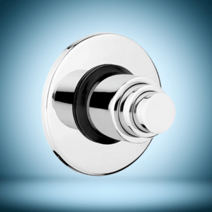 Flush Valve