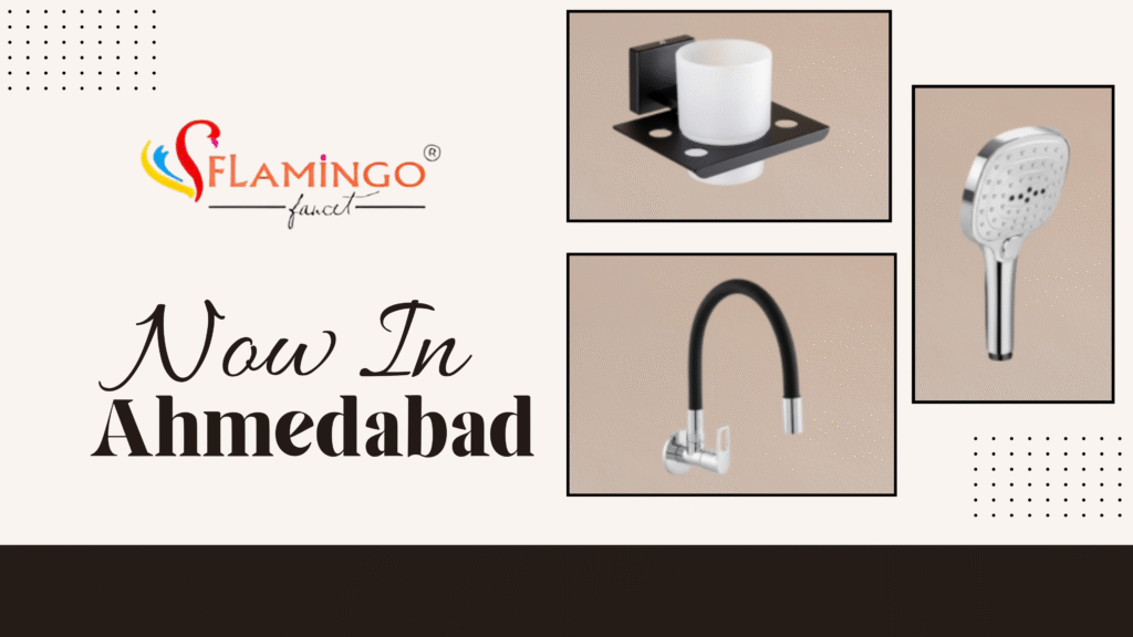 Flamingo in Ahmedabad