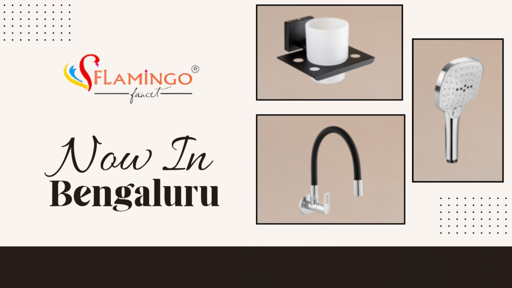 Flamingo in Bengaluru