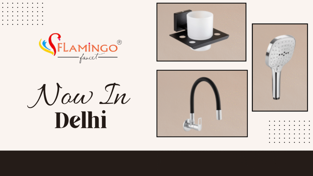 Flamingo in Delhi