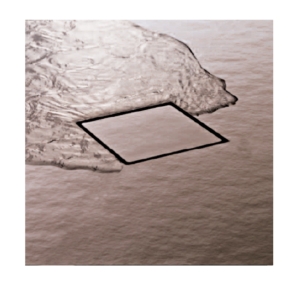 Aquant - Invisible Tile Insert Drainers - Invisible Tile Insert Drainer (304 SS) - 1433