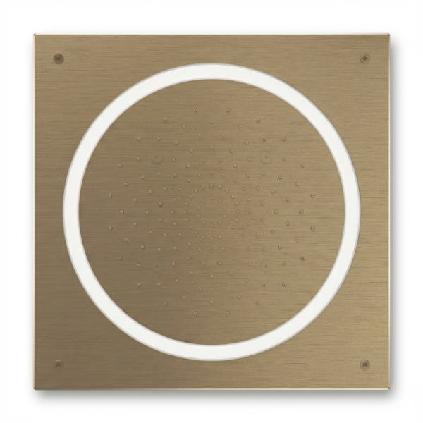 Aquant - SS 3 Function Concealed Ceiling Mounted Shower - Brushed Gold - BG 5018