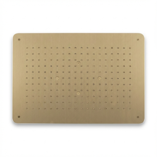 Aquant - SS 2 Function Concealed Ceiling Mounted Shower - Brusehd Gold - BG 5105