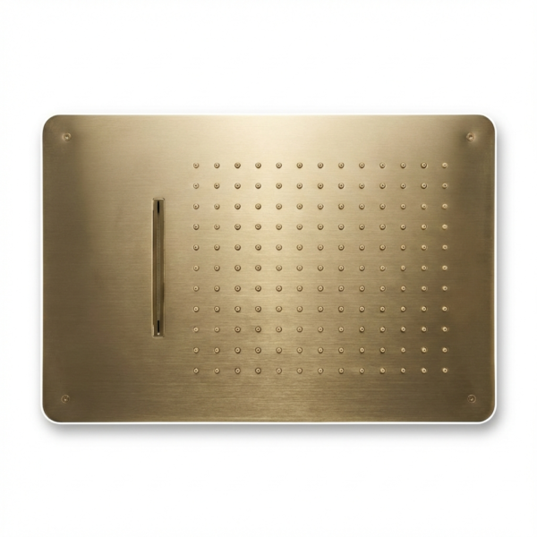 Aquant - SS 2 Function Concealed Ceiling Mounted Shower - Brushed Gold - BG 5106
