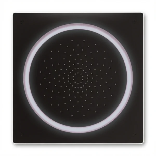 Aquant - SS 3 Function Concealed Ceiling Mounted Shower - Matt Black - MB 5018