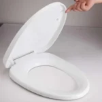 oval toilet seat cover
